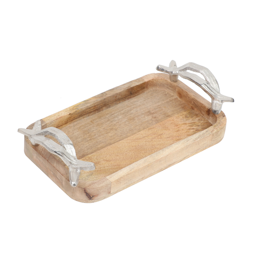 TRAY WITH HANDLE